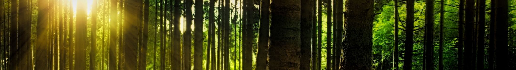 Header Ecobiofoc