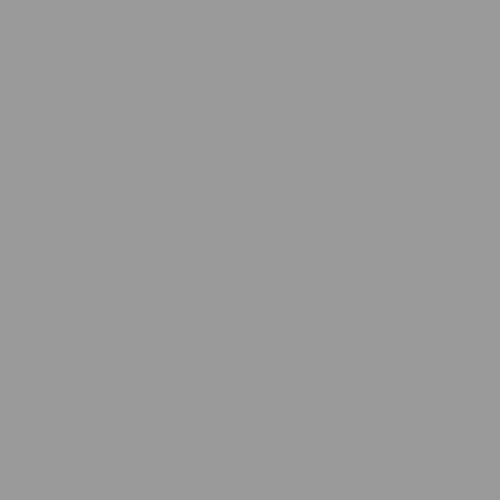 Logo Numon
