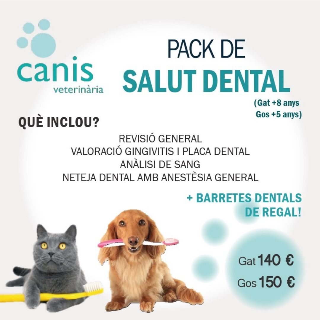 PACK SALUT DENTAL