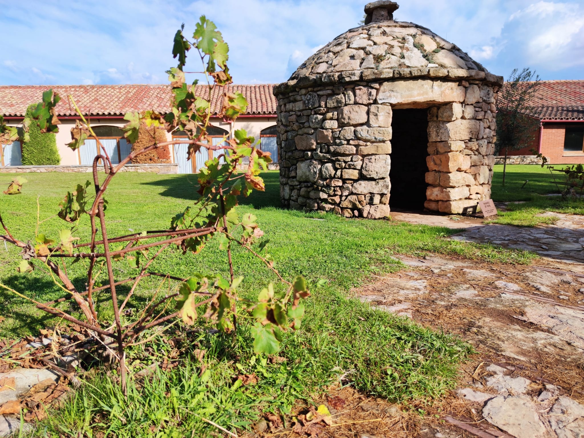 Viñas con historia, vinos de finca en el Bages 1  - miniatura