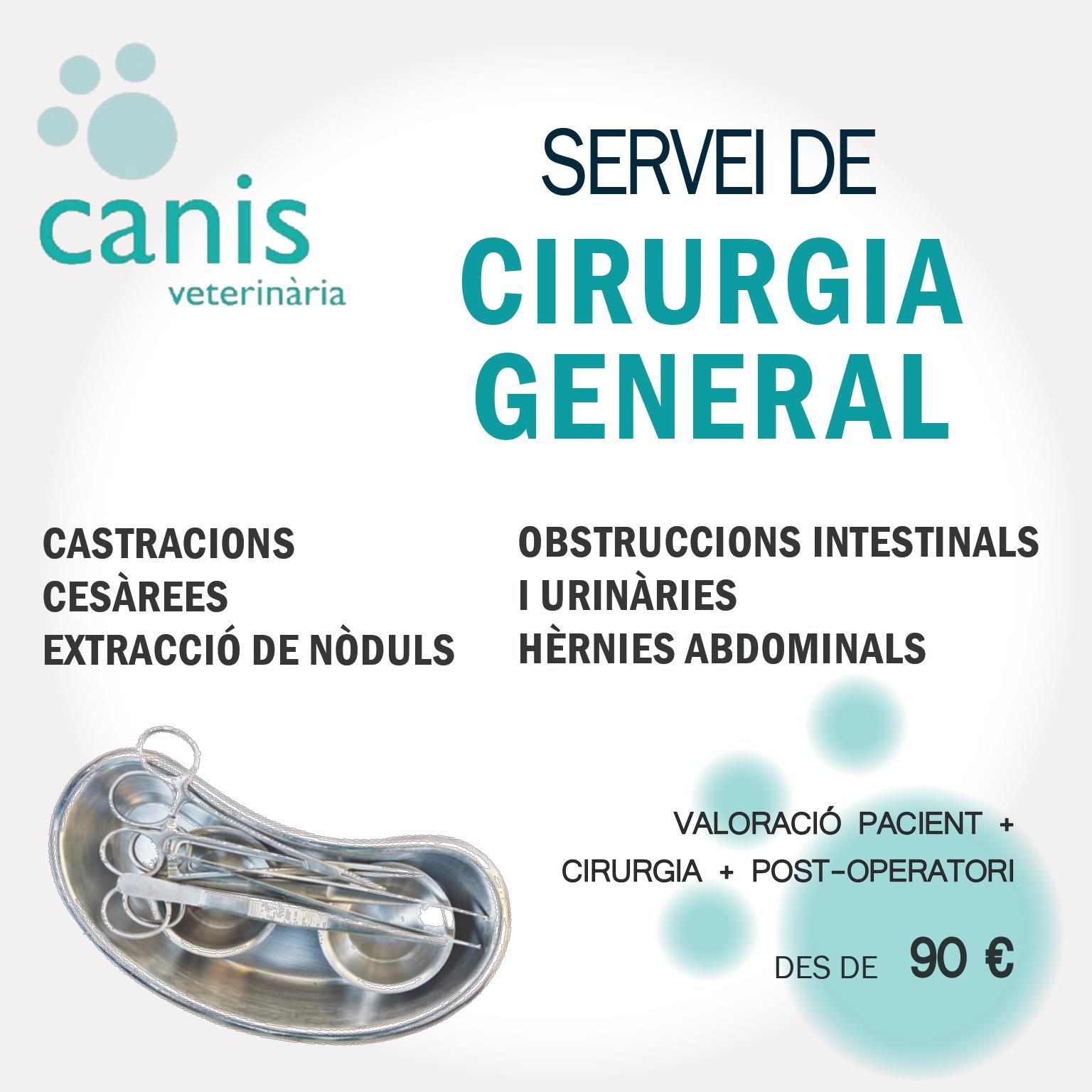 Cirurgia