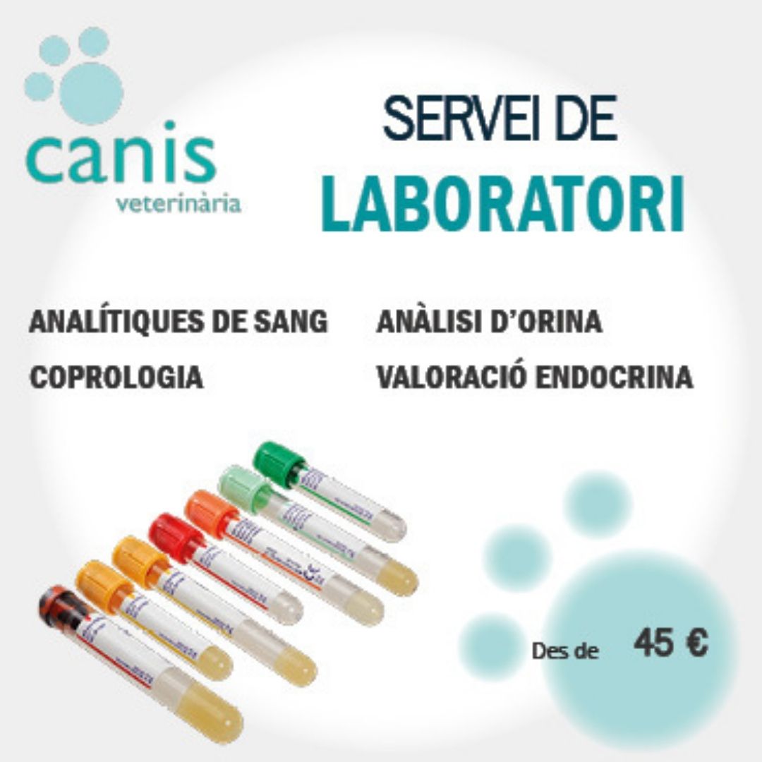 Laboratori