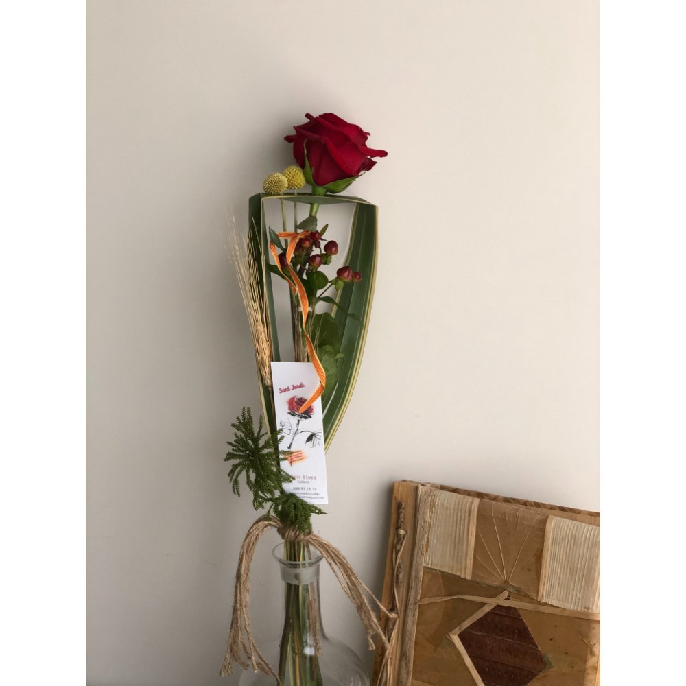 Rosa Sant Jordi especial