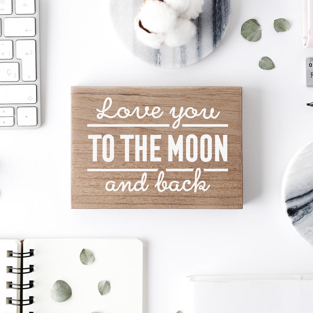 To the Moon and Back