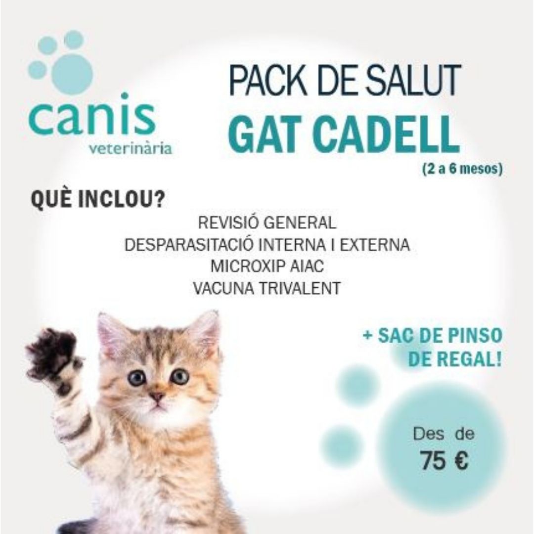 PACK SALUD GATITO