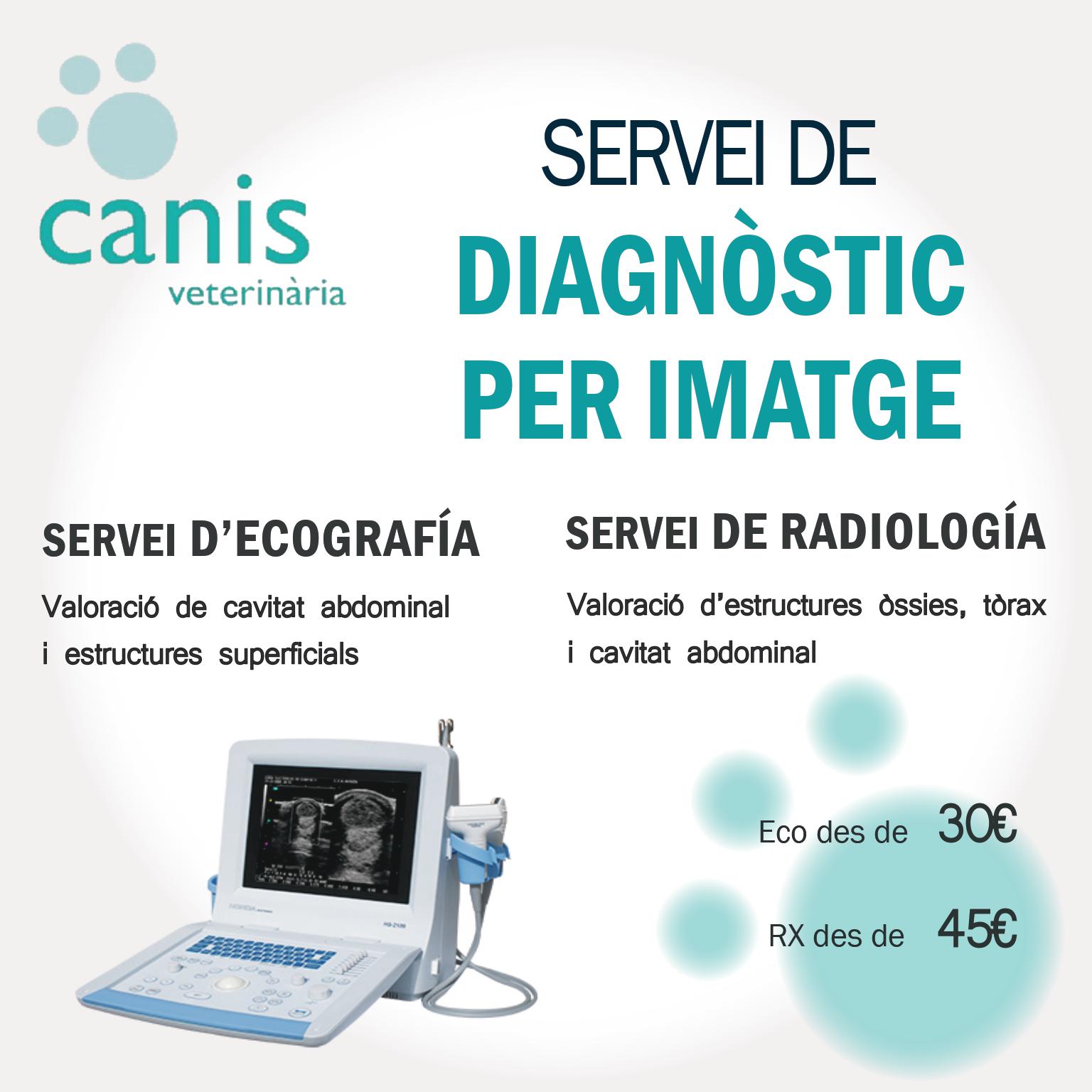 Ecografies i radiografies