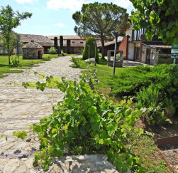 Introducció a la Denominació de Origen Pla de Bages