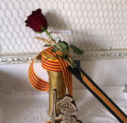 Rosa Bàsica de Sant Jordi