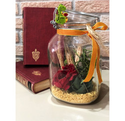 Pot de vidre Sant Jordi amb cactus
