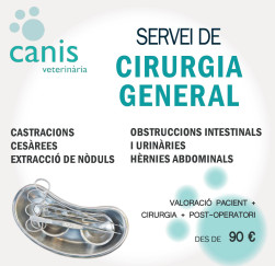 Cirurgia
