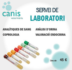 Laboratori