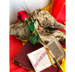 Rosa de Sant Jordi