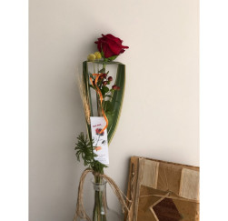 Rosa Sant Jordi especial