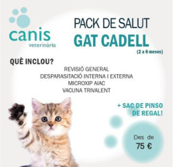 PACK SALUT GATET