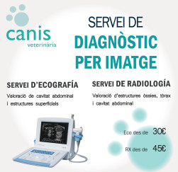 Ecografies i radiografies