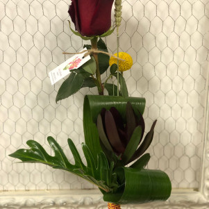 Rosa Sant Jordi especial xanadu
