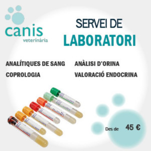 Laboratori