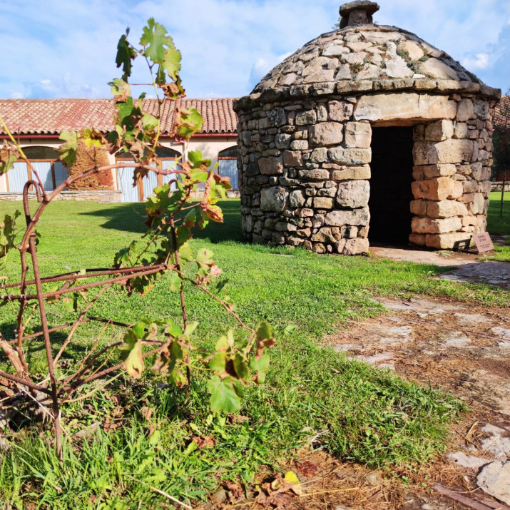 Vinyes amb història, vins de finca al Bages 1 